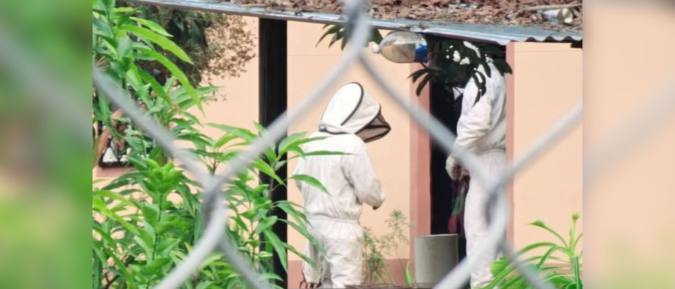 Evacúan a varias personas que fueron picadas por abejas en Usulután