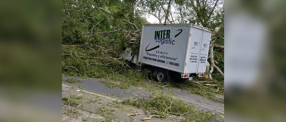 Vehículo impacta contra un árbol tras accidentarse en San Miguel