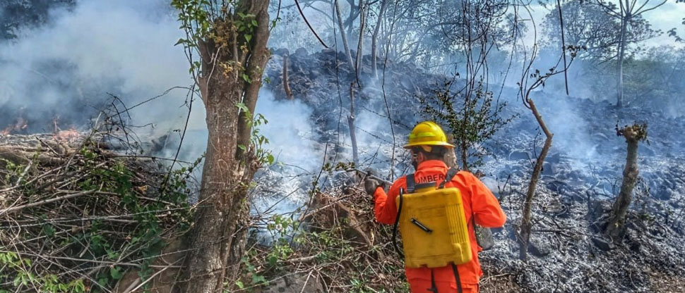 Bomberos sofocan incendio de maleza seca en Metapán