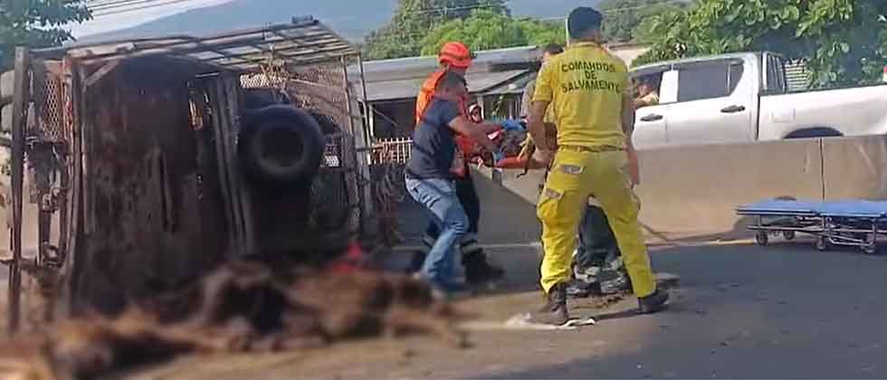 Camión que transportaba ganado vuelca en Nejapa