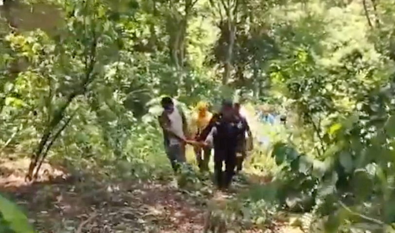 Campesino resulta con fractura en la columna y una pierna tras caer de un árbol en Izalco