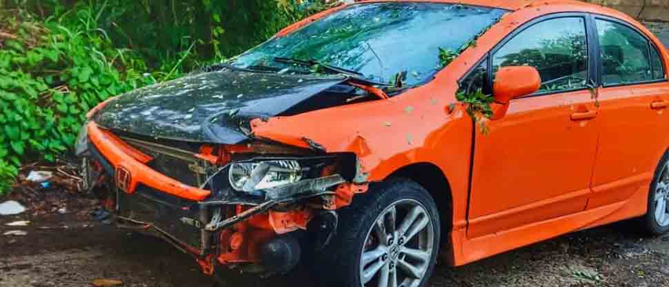 Conductor sobrevive tras caerle un árbol en Santa Ana
