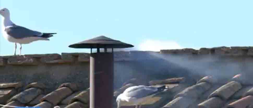 ¿Qué pasa cuando hay humo blanco?