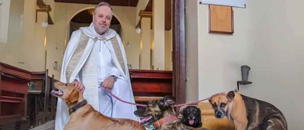 Sacerdote se viraliza por rescatar perros y darlos en adopción durante la misa
