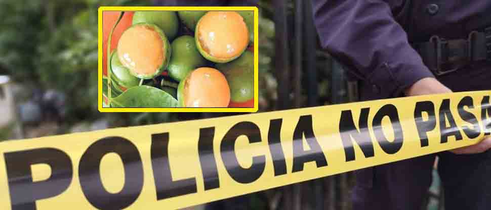 Fallece niño de 8 años tras atragantarse con un mamón en Ilobasco