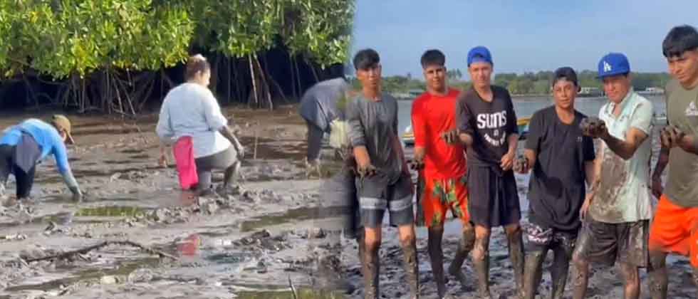 Salvadoreños que trabajan en manglares viajarán a Canadá con empleos dignos y seguros