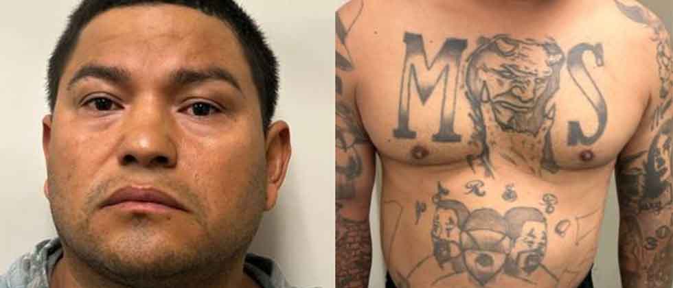 Peligroso pandillero salvadoreño es detenido en EUA