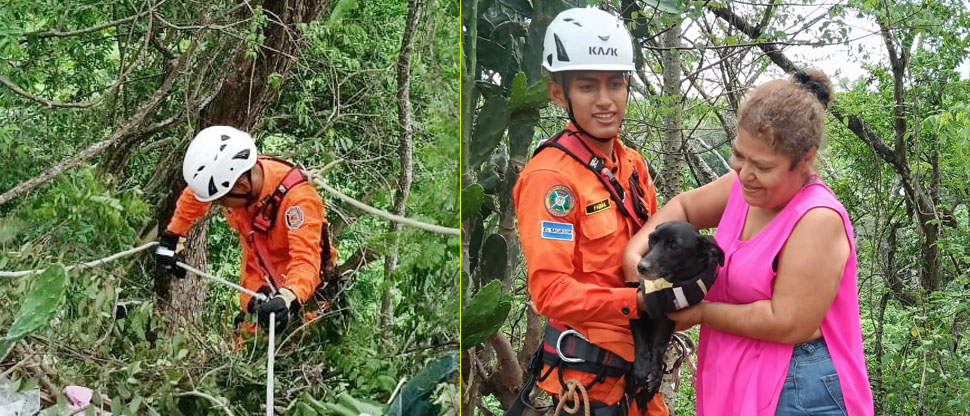 Bomberos recatan a perrito que cayó a barranco en San Vicente