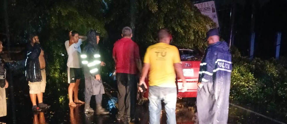 Árbol cae sobre vehículo cuando circulaba sobre la carretera antigua a Santa Ana