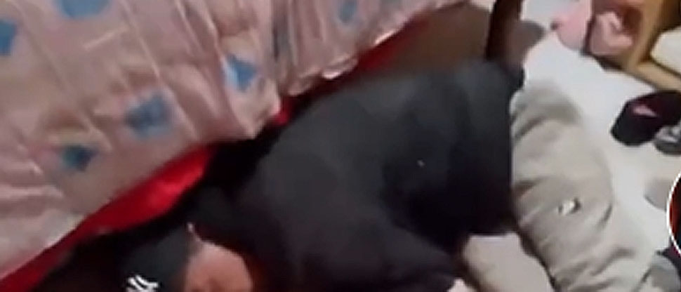 ¡Insólito! Ladrón entra a robar y se queda dormido en el piso de la vivienda en Argentina