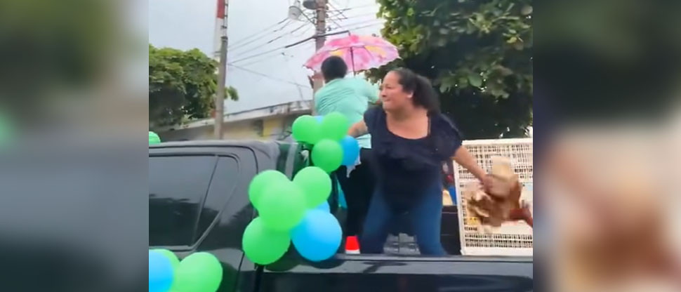 Nada de dulces, en Caluco se regalan gallinas vivas en el desfile del correo