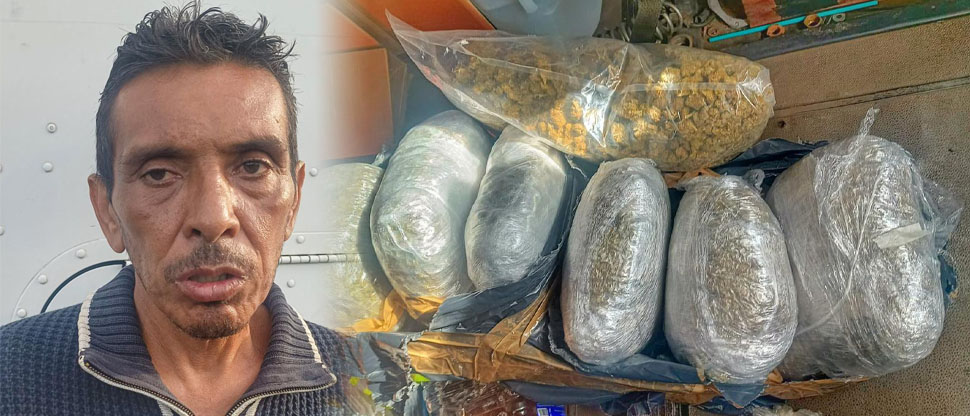 Cae trailero guatemalteco que transportaba 7 paquetes de “hierba seca” valorados en más de $25 mil