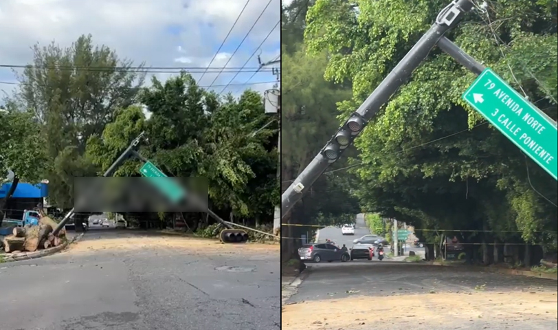 Árbol cae y destruye semáforo en transitada calle de San Salvador Centro