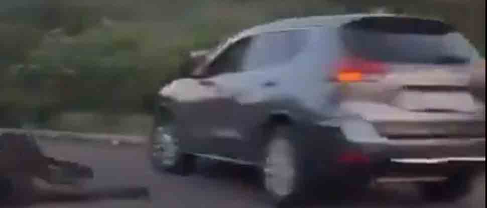 Conductor de camioneta se accidenta contra vaca  en Pasaquina