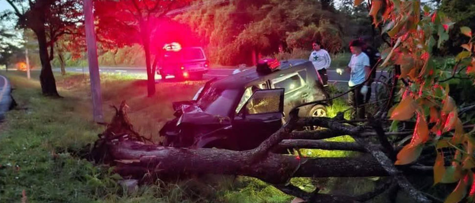 Conductor de “Kia Soul” fallece tras accidentarse con un árbol en carretera Panamericana