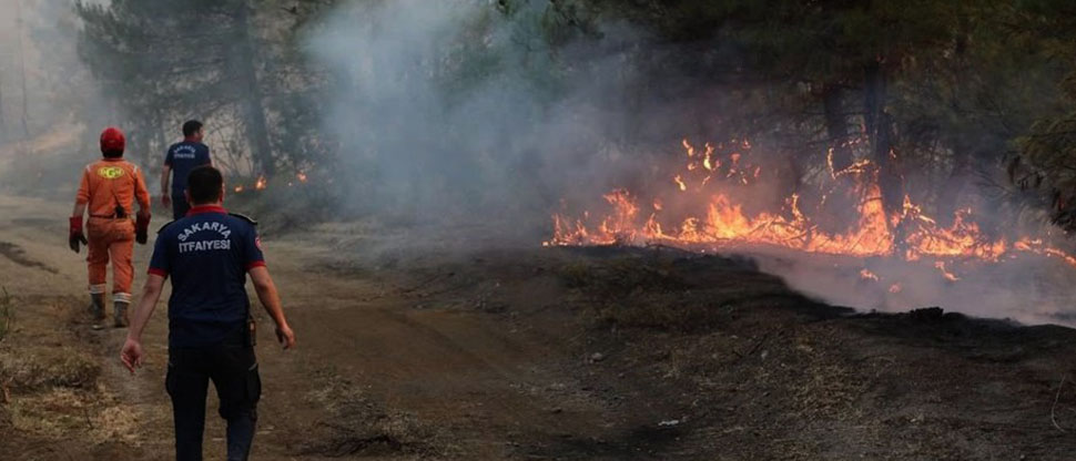 Turquía: evacúan a más de 50 mil personas por incendios