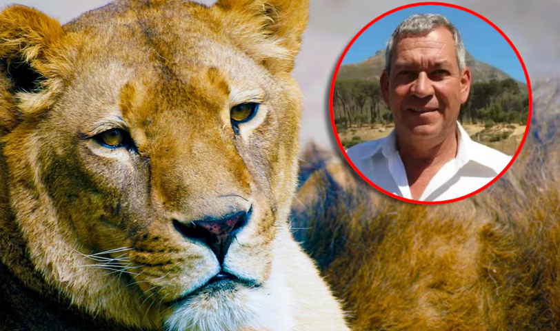 Sacrifican a leona que atacó y acabó con la vida de empresario en Namibia