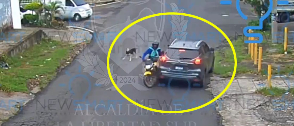 Perro persigue a motociclista y este por evadirlo se accidenta con una camioneta