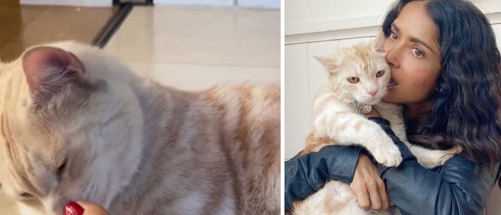 VIDEO: El fetiche por los pies del gato de Salma Hayek