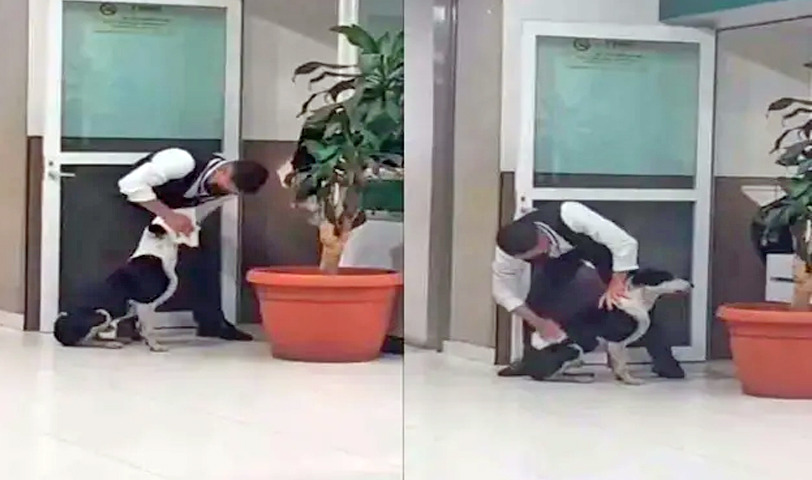 Aplauden a guardia de seguridad que acogió a un perro que sufría bajo una fuerte tormenta