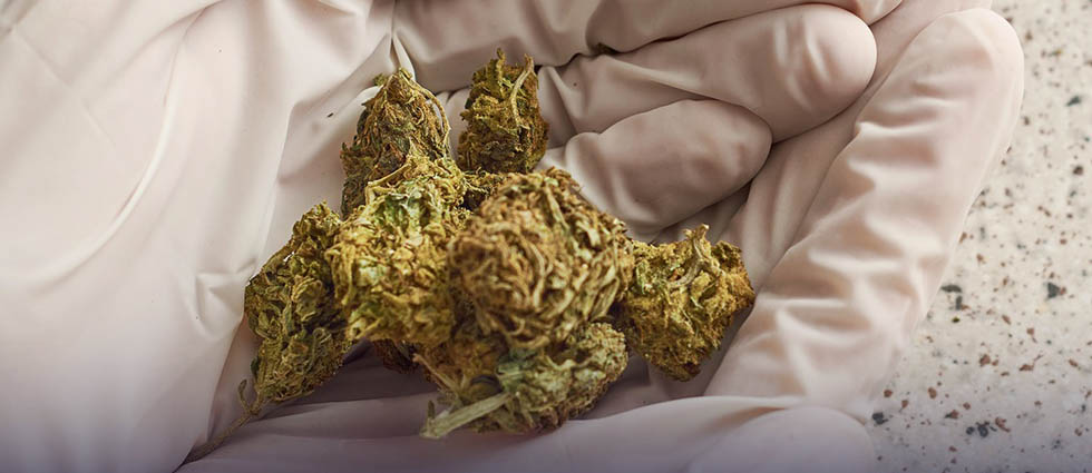 San Salvador: condenan a sujeto tras hallarle 13.1 gramos de marihuana