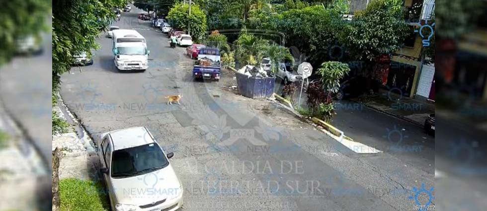 Santa Tecla: captan a personas desechando materiales no autorizados en un contenedor municipal