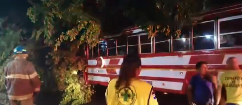 Enorme árbol cae sobre un autobús y un camión en Sonsonate