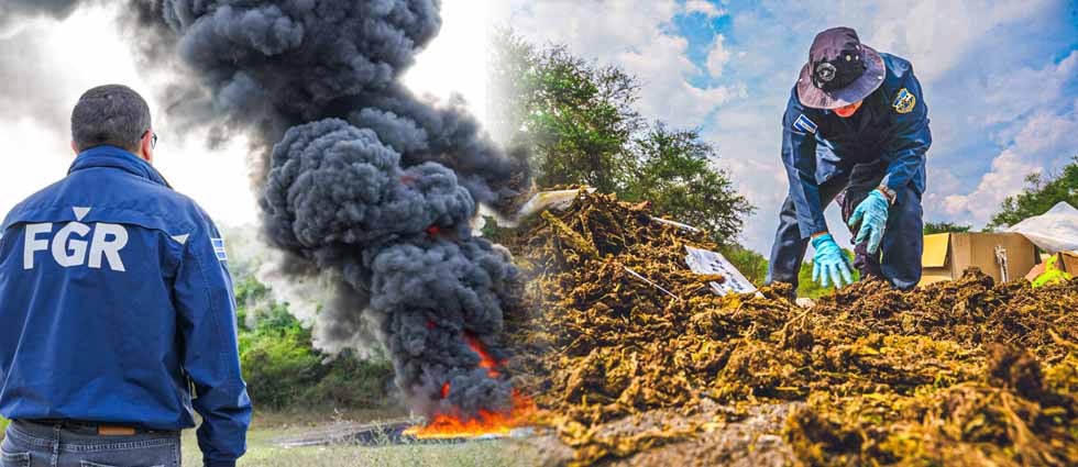 ¡FGR destruyen droga valorada en casi 61 mil dólares!