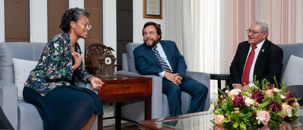 Vicepresidente Ulloa recibe a la directora regional de Cruz Roja