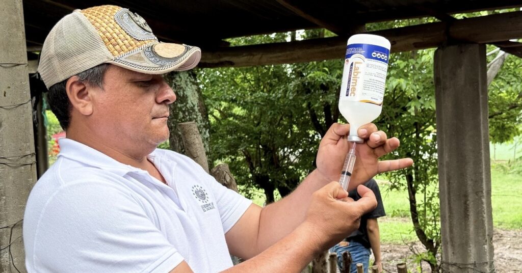 Gusano Barrenador en El Salvador: Qué es, cómo afecta y por qué hay Alerta Nacional