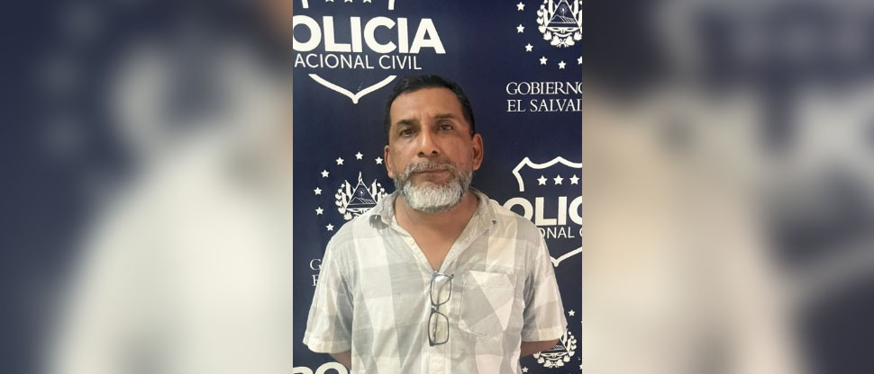 Abogado de hombre que congeló 11 gatos dice que su cliente tiene un amor “enfermizo” por los felinos