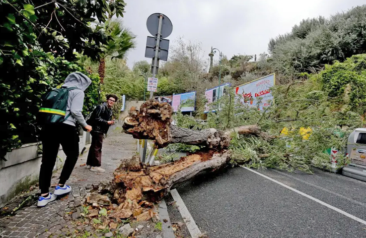 Italia: mujer de 63 muere tras la caída de un árbol de gran tamaño en Milán