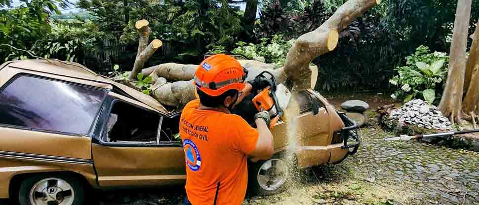 Retiran árbol que cayó en un microbús en San Juan Opico