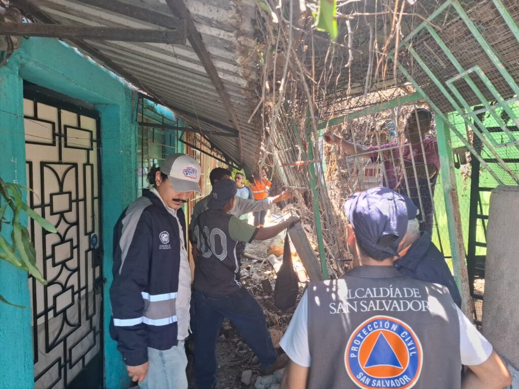 Atienden a familias afectadas por la caída de un árbol en Cuscatancingo