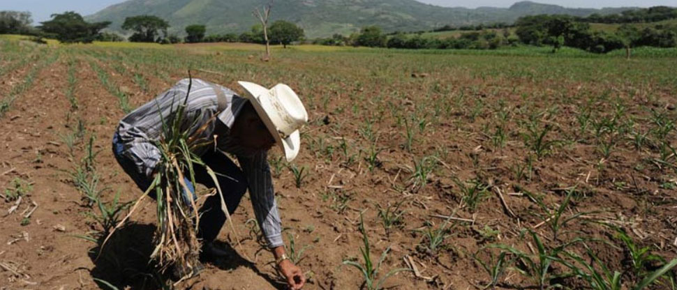 MARN informa que ha iniciado el periodo de la canícula