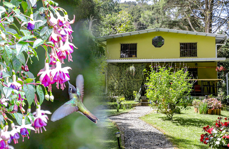 Esta es Casa Colibri, el primer alojamiento especializado para la observación de aves del país