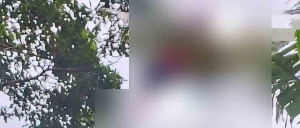 Hombre fallece electrocutado cuando podaba unos árboles en Santiago Texacuango