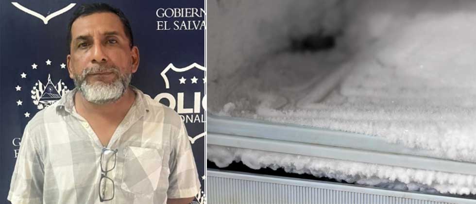 Detienen a desalmado que le quitó la vida a 11 gatos y luego congeló en su casa en San Miguel