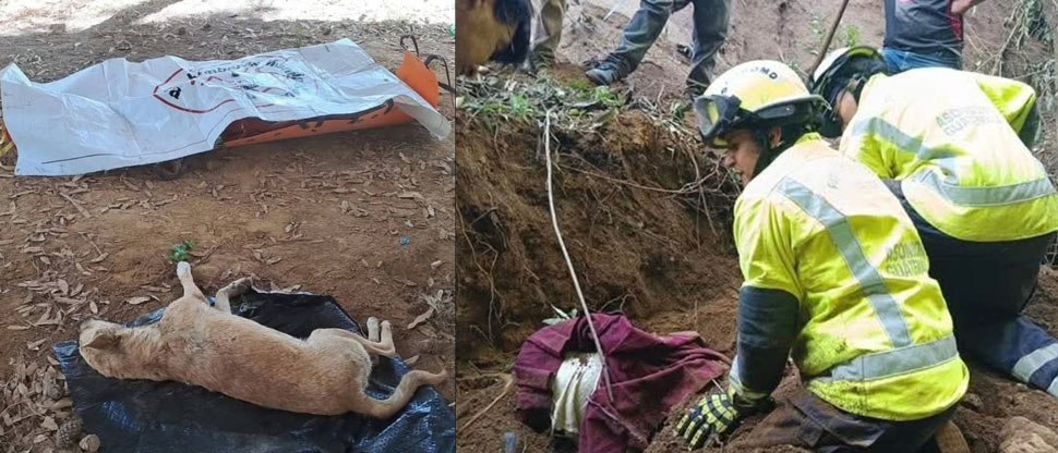 Guatemala: encuentran cuerpo de mujer soterrada y abrazada a su perro
