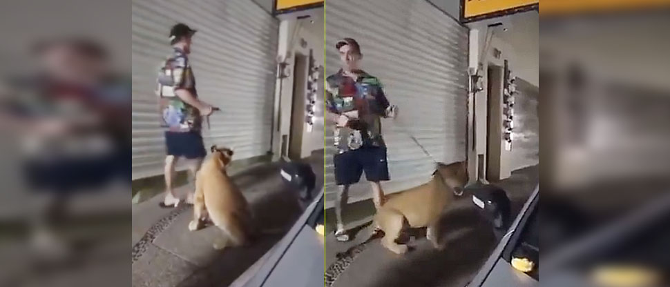 ¡Insólito! Captan a hombre paseando a una leona en plena ciudad de Jalisco