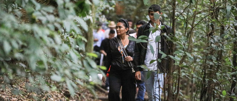 ¿Dónde ir en vacaciones? Acá te dejamos una serie de parques que puedes visitar