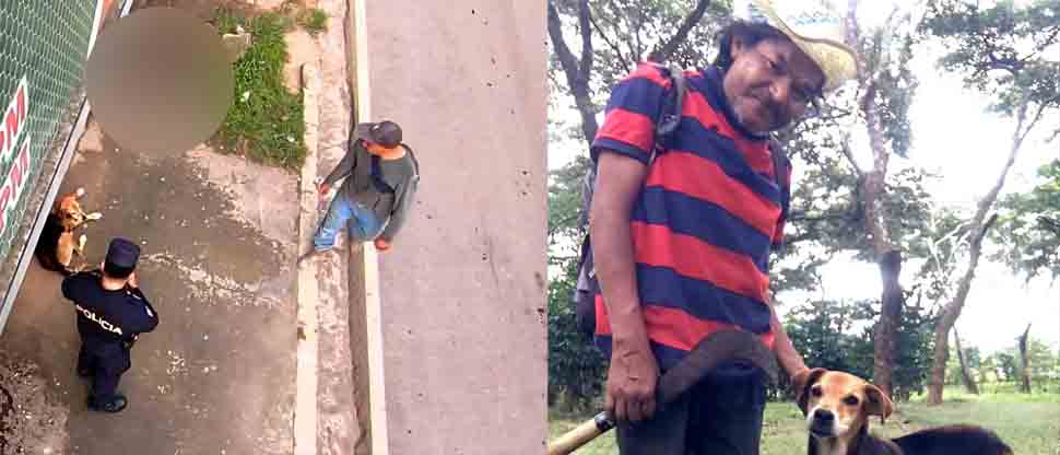 Fiel hasta el final: perrito se queda donde falleció su amo en Corinto, Morazán
