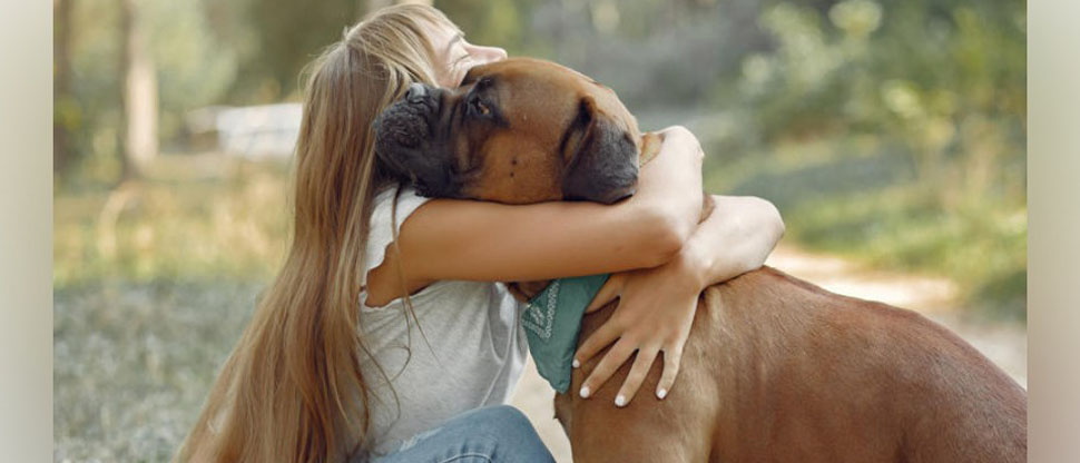 Investigación destaca que una mascota puede valer lo mismo a una relación romántica