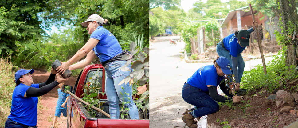  Realizan jornada de reforestación en San Vicente
