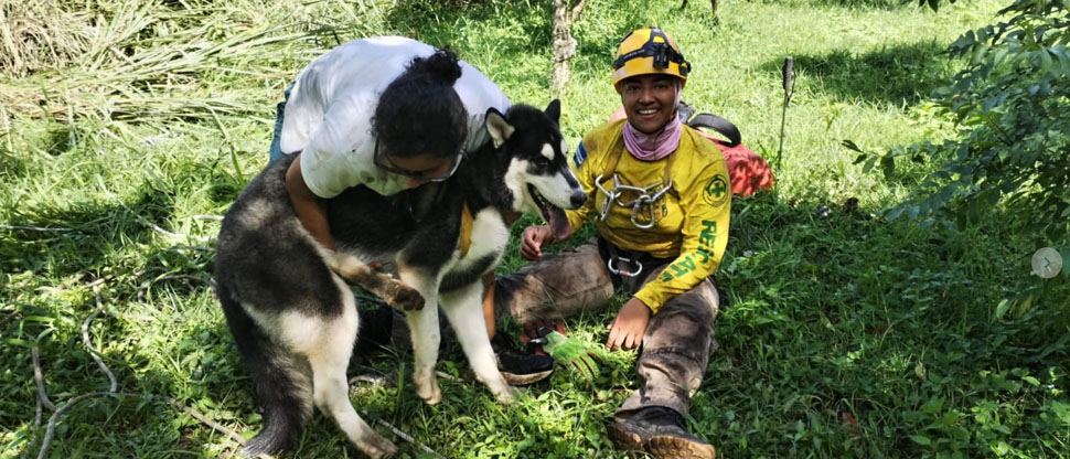 Socorristas rescatan a perrito que cayó a un barranco de 10 metros en Apopa