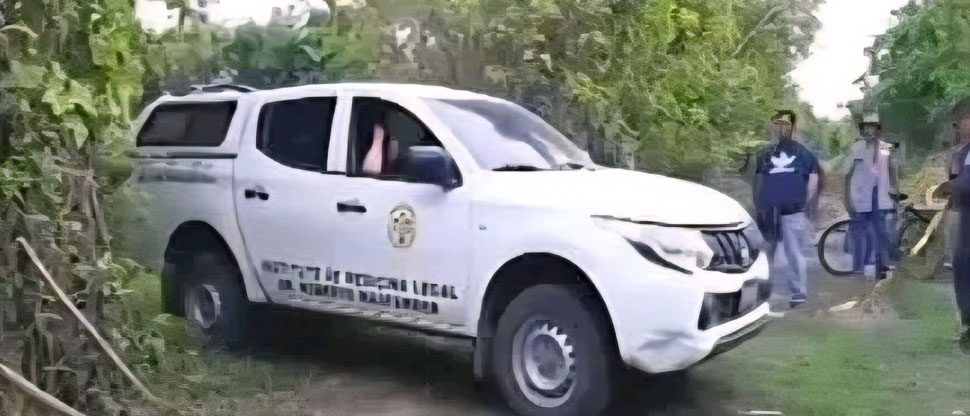 Hombre pierde la vida al caerse de un árbol de mango en San Luis Talpa