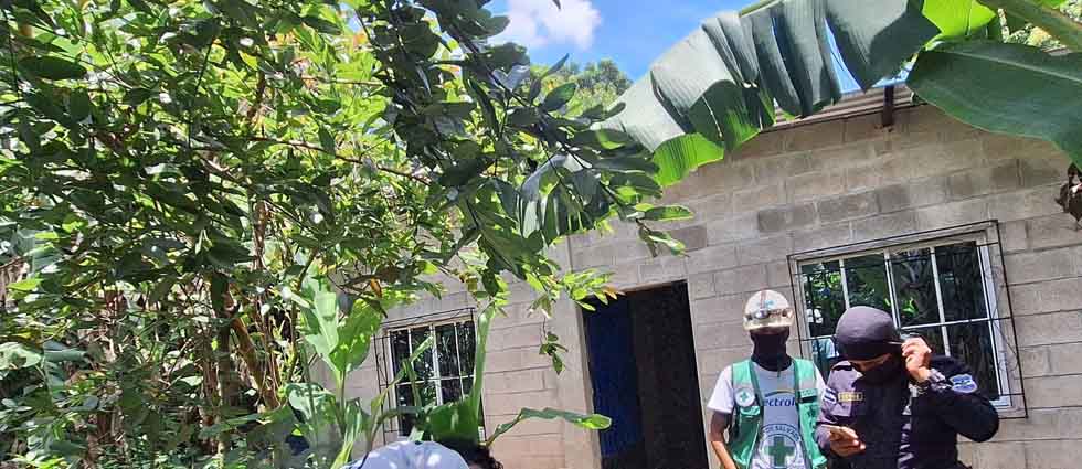 Atienden a tres personas tras ser afectadas por un enjambre de abejas en La Libertad