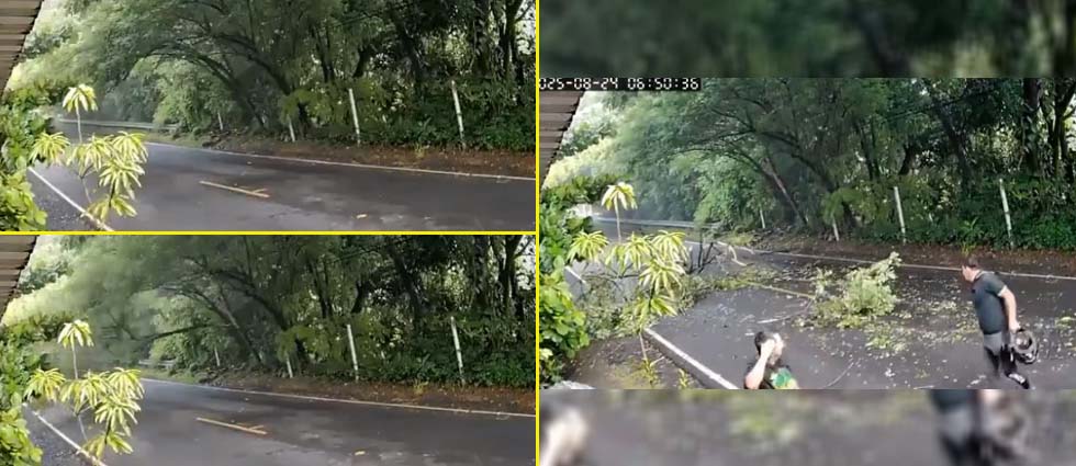 Rama de árbol cae sobre una motocicleta en movimiento en Morazán