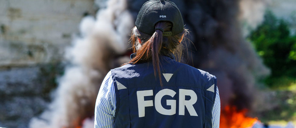 FGR destruye casi $800 mil en estupefacientes