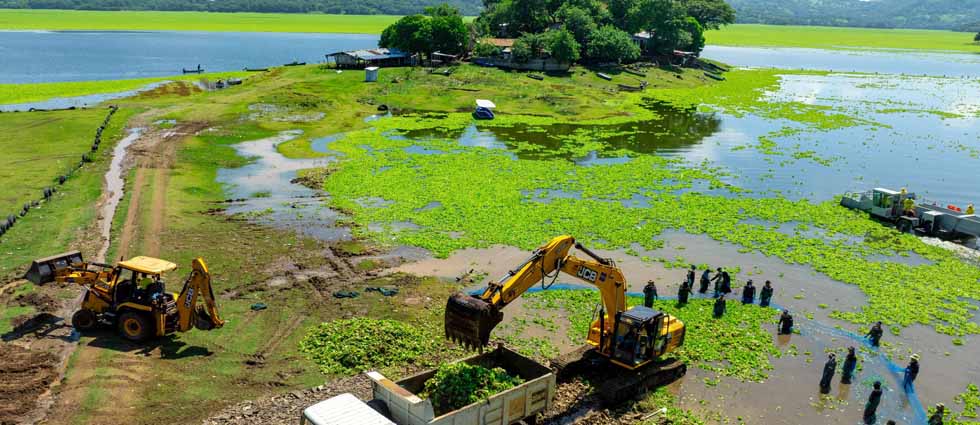Con equipo especial retiran ninfa y desechos acumulados por lluvias en el lago de Suchitlán